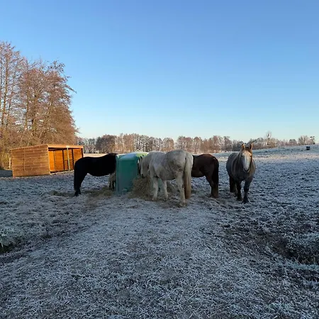 Entre Sabots Et Ronrons Konukevi Butten