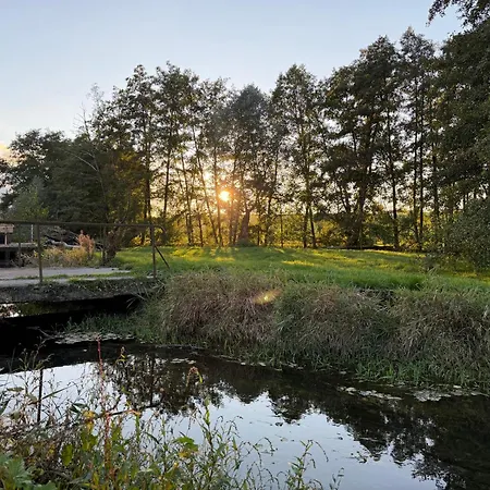 Entre Sabots Et Ronrons Gasthuis