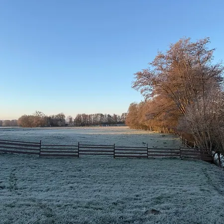 Entre Sabots Et Ronrons Butten