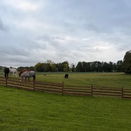 Affittacamere Entre Sabots Et Ronrons 3*