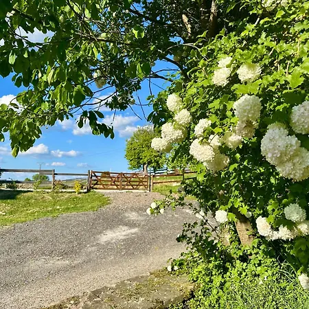 Entre Sabots Et Ronrons