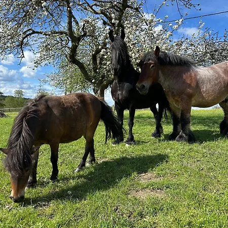 Entre Sabots Et Ronrons Konukevi Butten