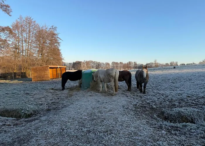 Entre Sabots Et Ronrons Gasthuis Butten