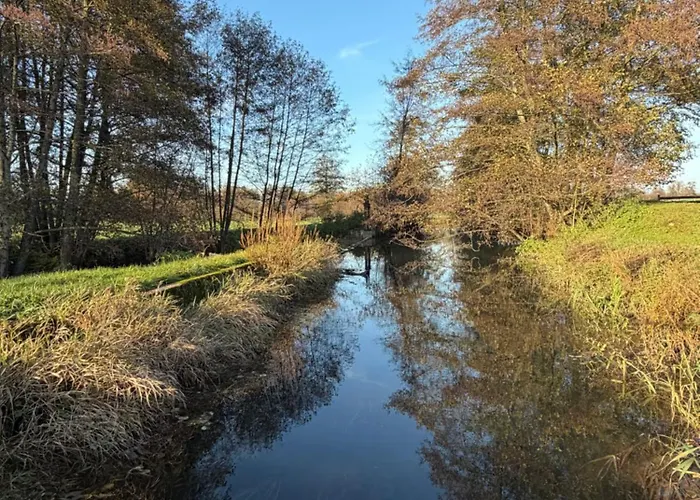 Entre Sabots Et Ronrons 3* Butten