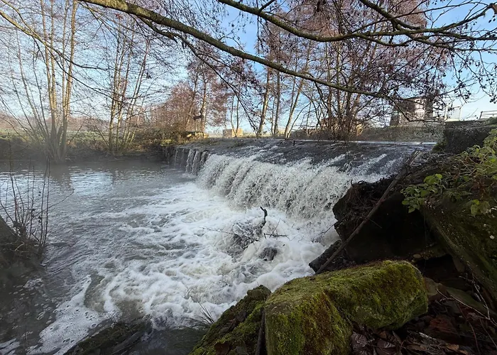 Entre Sabots Et Ronrons 3*