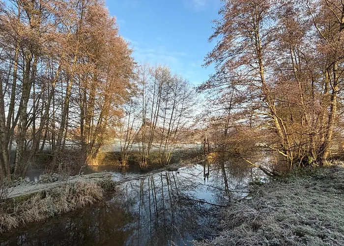 Entre Sabots Et Ronrons 3* Butten