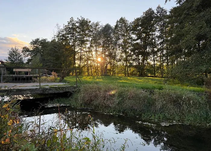 Entre Sabots Et Ronrons Gasthuis