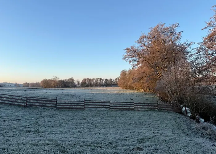 Entre Sabots Et Ronrons Butten