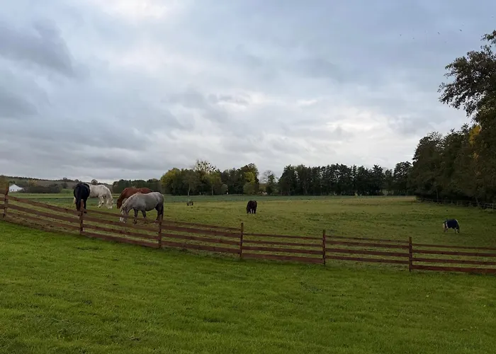 Konukevi Entre Sabots Et Ronrons 3*