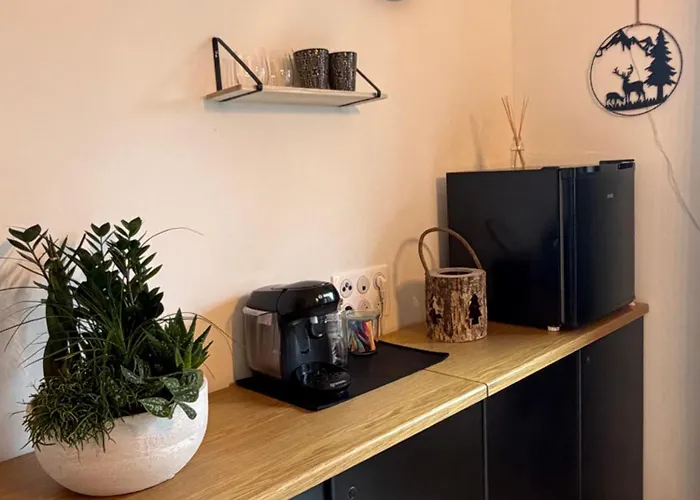 Gasthuis Entre Sabots Et Ronrons