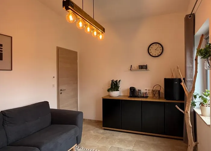 Gasthuis Entre Sabots Et Ronrons Butten