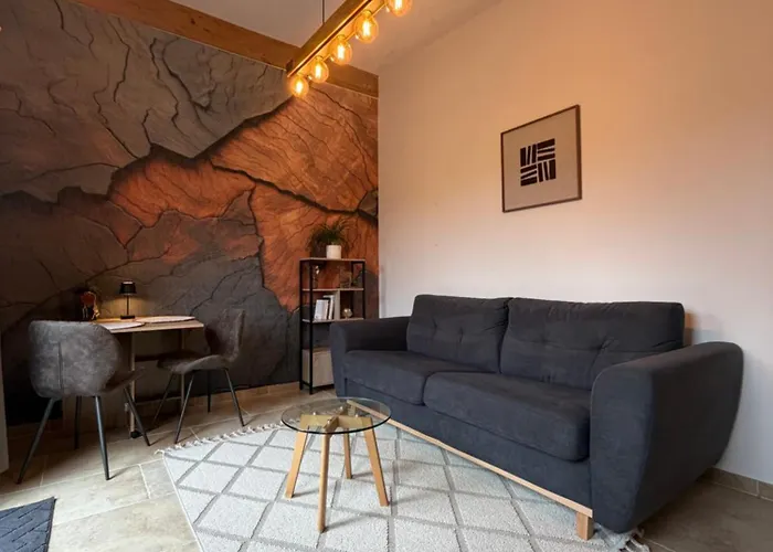 Konukevi Entre Sabots Et Ronrons 3*