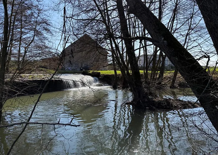 Entre Sabots Et Ronrons 3*