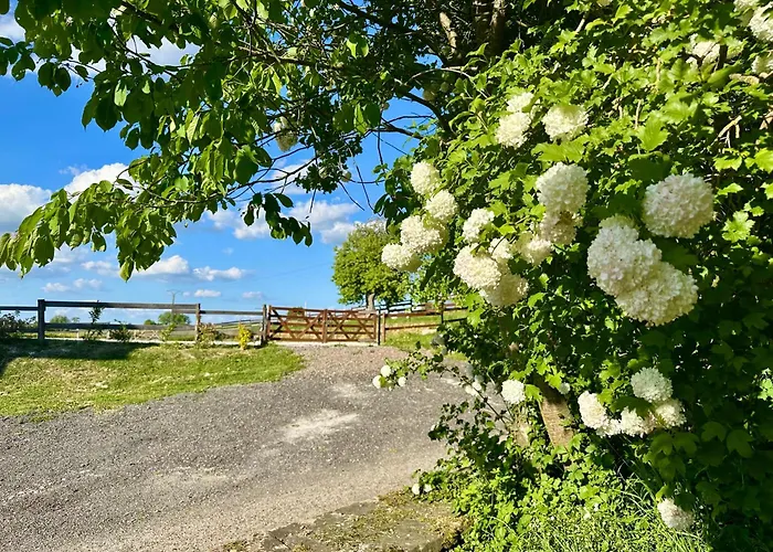 Entre Sabots Et Ronrons